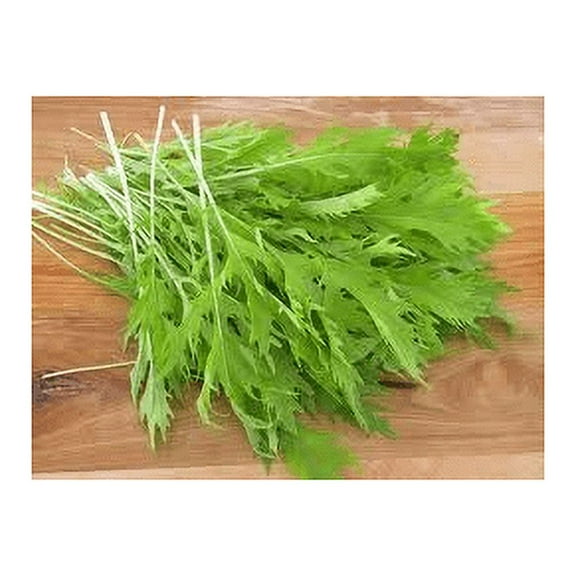Mustard Mizuna Great Heirloom Vegetable By Seed Kingdom BULK 30,000 Seeds