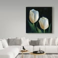 thumbnail image 3 of Trademark Fine Art 'White Tulips Black' Canvas Art by Hall Groat Ii, 3 of 3