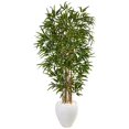 thumbnail image 1 of Nearly Natural 5Ft. Bamboo Artificial Tree In Oval White Planter, 1 of 1