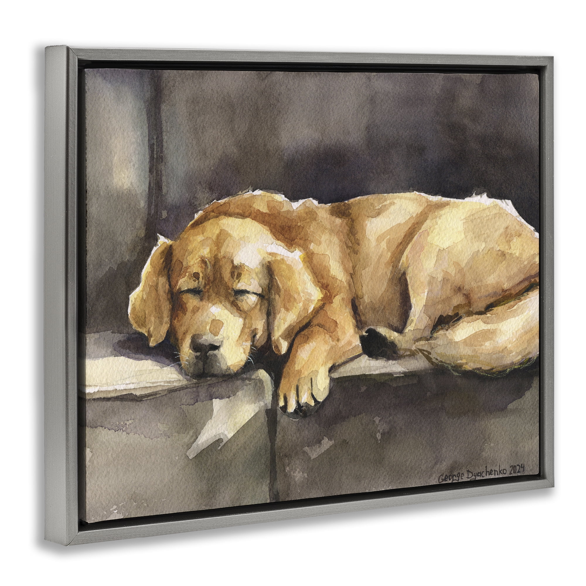 Stupell Industries Sleeping Golden Retriever Animals Painting Gray Floater Framed Canvas Art Print Wall Art, 31 x 25