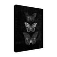 thumbnail image 4 of Canvas Wall Art - Tom Quartermaine 'Three Butterflies on Black Print Original' Wall Art for Living Room, Bedroom, or Office DÃ©cor by Trademark Fine Art - 35 x 47 Inches, 4 of 4