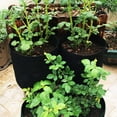 thumbnail image 3 of Vikakiooze 3 Color Gardening Items, Garden sweet potato potato planting bag grow bag plant bag beauty planting bag planting tree bag plant growth bag, 3 of 7