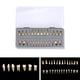 thumbnail image 1 of 28 pc / para adultos 1: 1 modelo de permanentes herramientas shamjiam Dientes dentales, 1 of 8