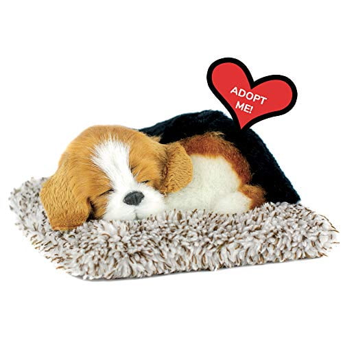 perfect pets international sleeping beagle plush