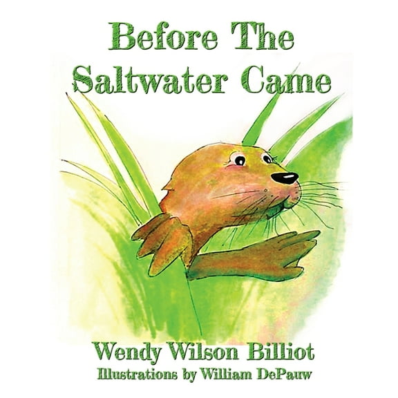 Before The Saltwater Came, (Paperback)