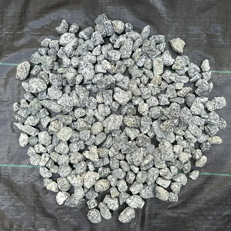 22 Pounds of Big Dalmatian Stones 1