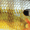 Blue Gill, variant on Rapala Shad Rap 05 Crankbait Fishing Lure 2" 3/16 oz Firetiger