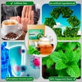 thumbnail image 6 of TeaDreamTea Peppermint Tea Bag - Mint Tea - Alleviates Digestive Discomfort | Herbal Tea - Mint Tea Bags - Healthy Tea | Aromatic & Caffeine Free Tea - Bulk Tea Bags, 6 of 7