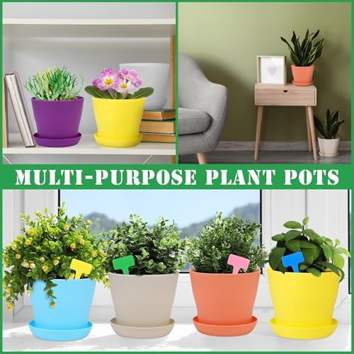 48 Pack Plastic Planters 5.5 Inch Flower Plant Pots Indoor Set Thickened Seedling Nursery Pots Seed Starting Pots with Drainage Holes Saucers Mini Garden Tool for Home Office Garden, Multicolor