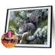 thumbnail image 3 of Cuadros Decorativos Diamante pintura 5D completo redondo taladro mosaico DIY lindo ardilla Kit para decoración de pared Ehuebsd Nuevos Originales, 3 of 9