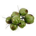 thumbnail image 2 of 1 Bunch Artificial Lifelike Coconuts Fake Fruit Model for Jungle Hawaiian Luau Wedding Party Decoration, 2 of 8