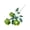 Green, variant on PPKVUFD 1 Pack Rose Artificial Flowers Bouquet, 3 Silk Rose Heads Per Pack, Rose Bouquets for Wedding Centerpiece Decorations, Faux Floral Arrangements Bridal Shower Party Home Table Decor