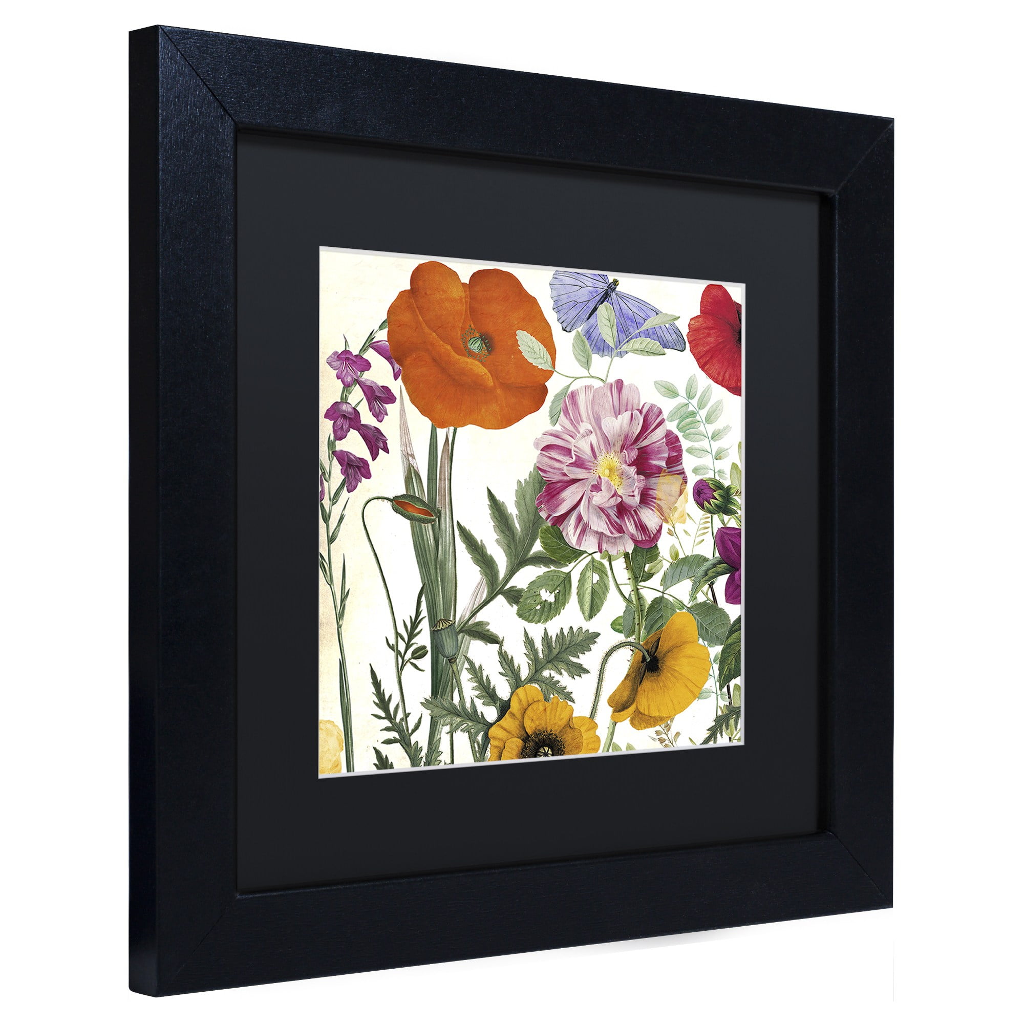 Trademark Fine Art "Printemps II" Canvas Art by Color Bakery, Black Matte, Black Frame