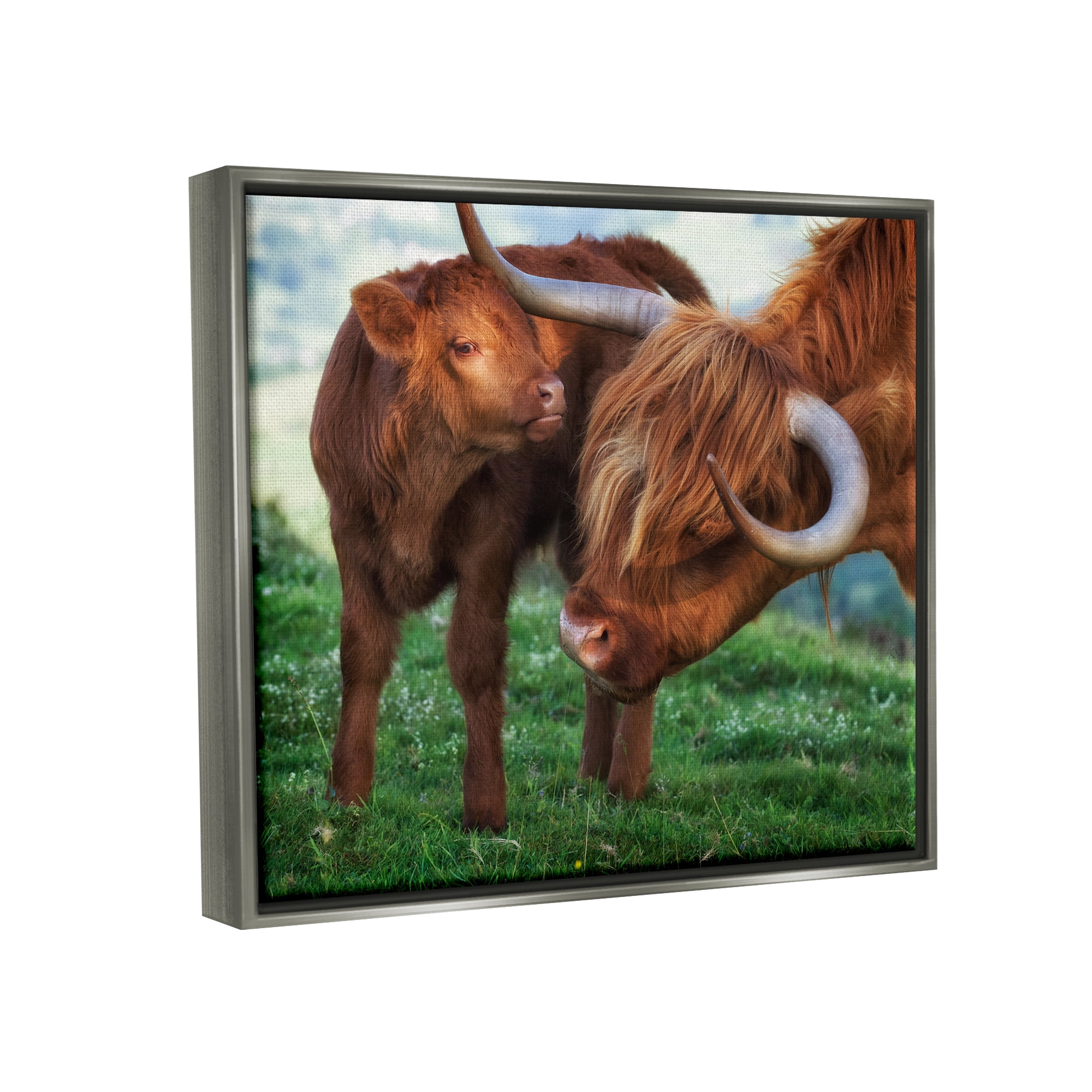Stupell Industries Loving Longhorn Cattle Nuzzling Calf Heartwarming Animals Photograph Luster Gray Floating Framed Canvas Print Wall Art, Design by James Dobson