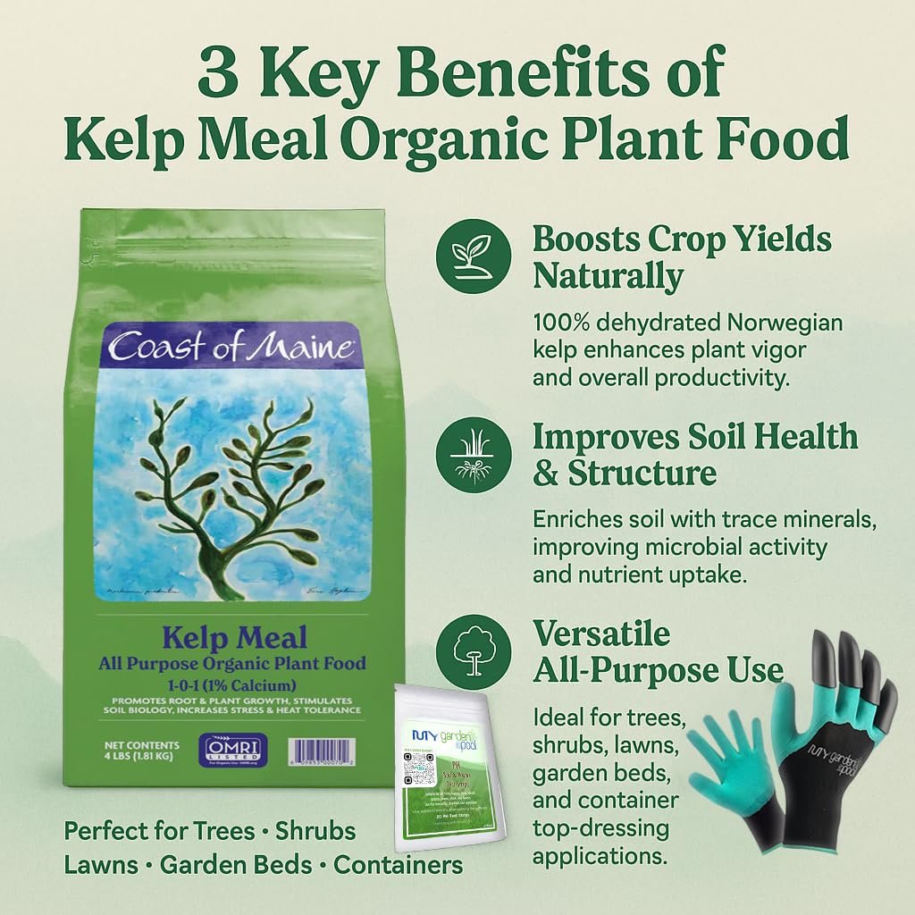Coast of Maine KM6000 Kelp Meal Plant Food 4 LB  Organic Seaweed Fertilizer for Vibrant Growth with My Garden Pool Soil Test Strips & Claw Gardening Gloves