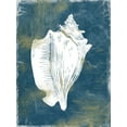 thumbnail image 2 of Prime, Marcus 15x18 Black Ornate Wood Framed with Double Matting Museum Art Print Titled - Ocean Miracles 4, 2 of 4