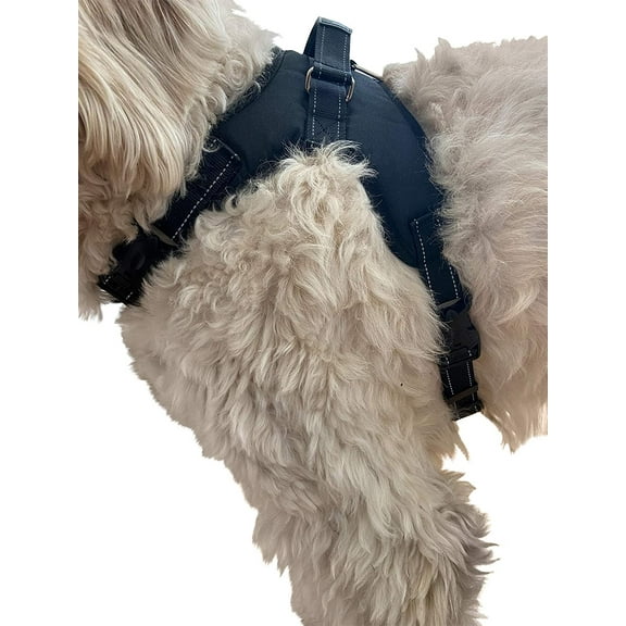 Labra Dog Canine K9 Chest Halter Harness for use Canine Knee Brace