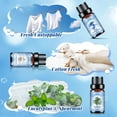 thumbnail image 3 of Aeshory 6x10ML Clean Fragrance Oils Gift Set - Diffuser Oils for Home, Candles & Soap (Eucalyptus Spearmint, Fresh Linen, Rose Wonderland), 3 of 7