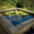 thumbnail image 3 of 20PCS Pond Fish Guard Protector Plastic Floating Net Rings Protective Cover Pond Floating Net?Pond Protectors Net Protectors Mesh Plastic Protective Cover UV-resistant, 3 of 5