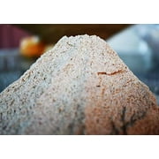 Eritrean Tihni Thni Thny Ethiopian Besso Bosso Beso Boso Medium Roasted Barley Flour 2 pounds