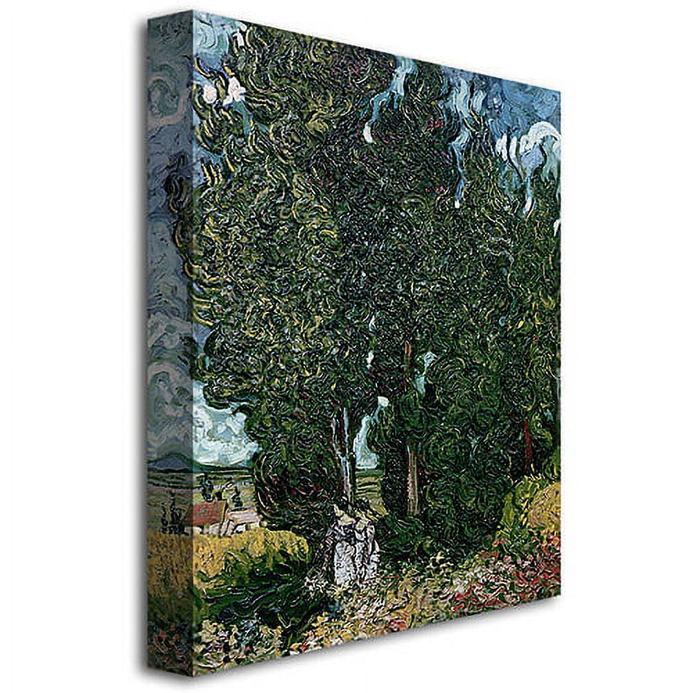 Trademark Fine Art "The Cypresses" Canvas Art by Vincent van Gogh