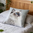 thumbnail image 3 of HAVELOR Cat Print Pillowcase, 17.73x17.73 in, Soft Cotton Fabric, Vibrant Long-Lasting Print, Adds Cute Warmth to Living Room or Bedroom(28,1pcs), 3 of 7
