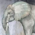 thumbnail image 2 of Medley, Elizabeth 20x20 Black Ornate Wood Framed with Double Matting Museum Art Print Titled - Elephant, 2 of 4