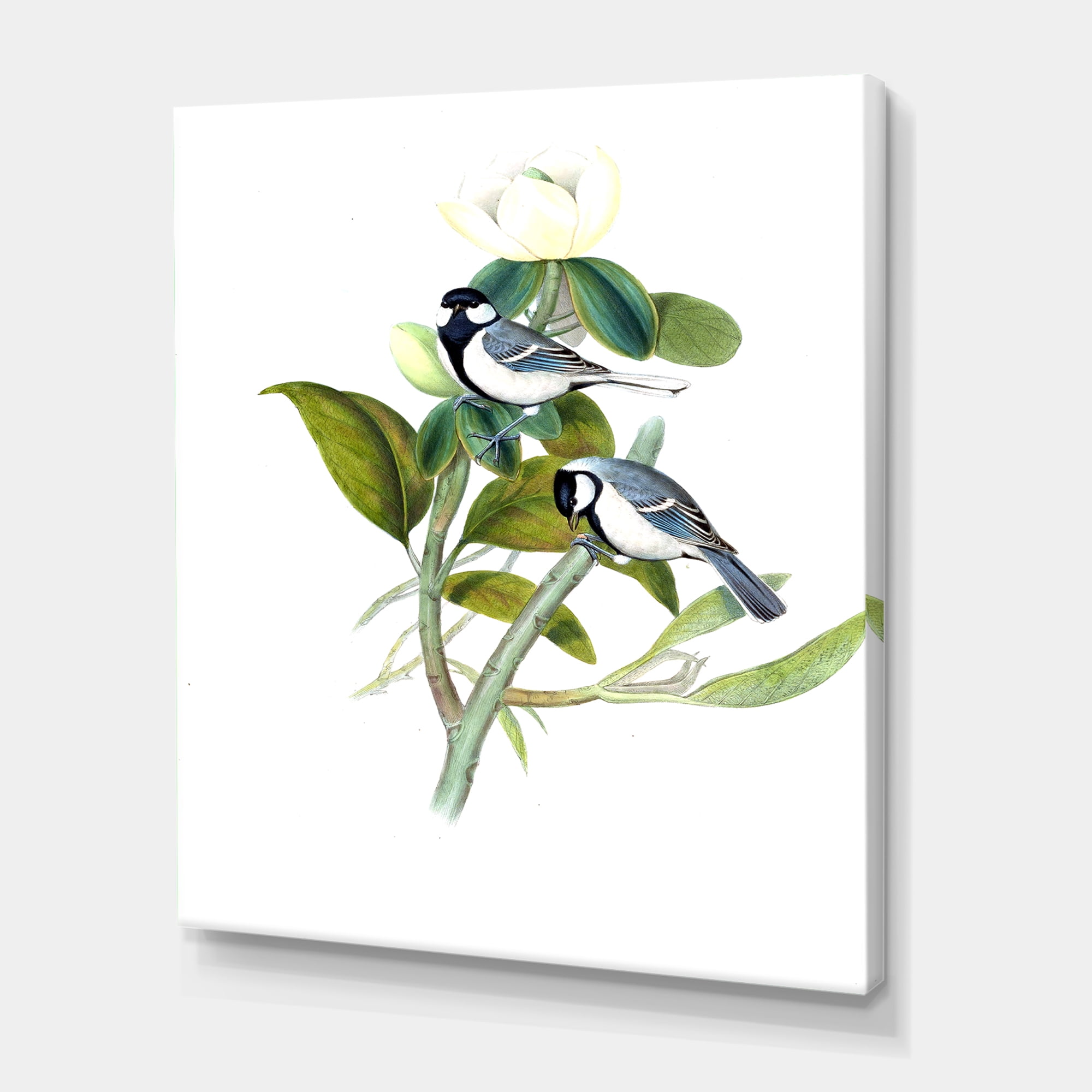 Vintage Countryside Birds On Branch I 8 in x 12 in Painting Canvas Art Print, by Designart