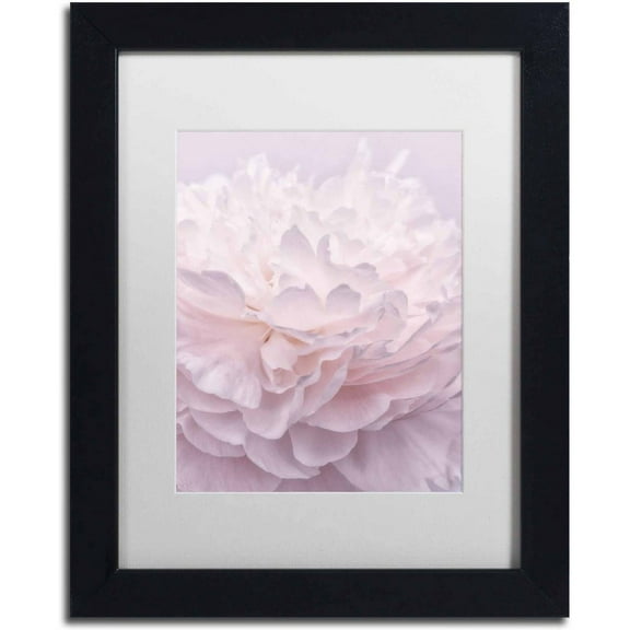 Trademark Fine Art 'Pink Peony Petals I' Canvas Art by Cora Niele, White Matte, Black Frame