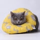 thumbnail image 5 of Collar de recuperación para perros y gatos, 2 uds., antiarañazos, para lamer, (amarillo, gris) Sincero Electrónica, 5 of 5