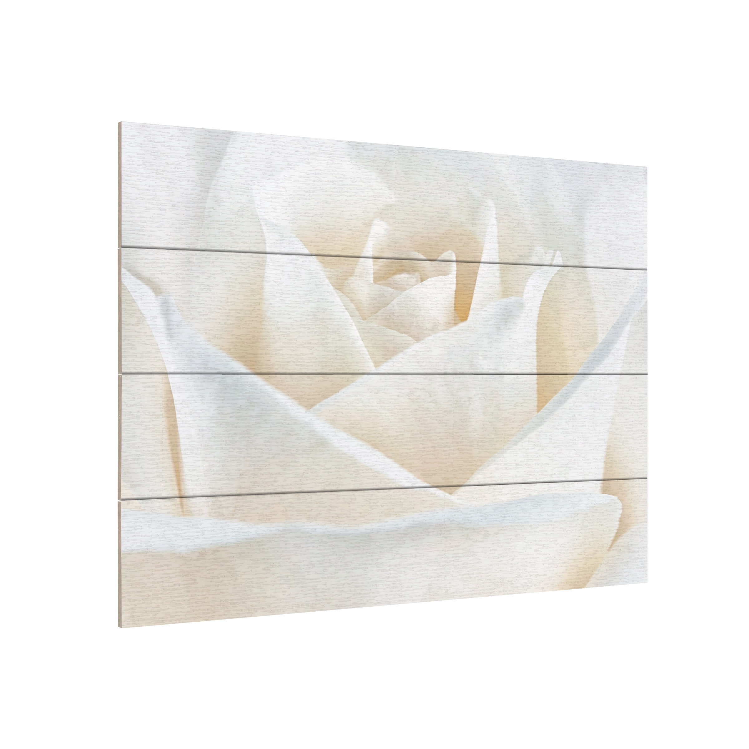 Trademark Fine Art 'Pure White Rose' Wooden Wall Art Art by Cora Niele