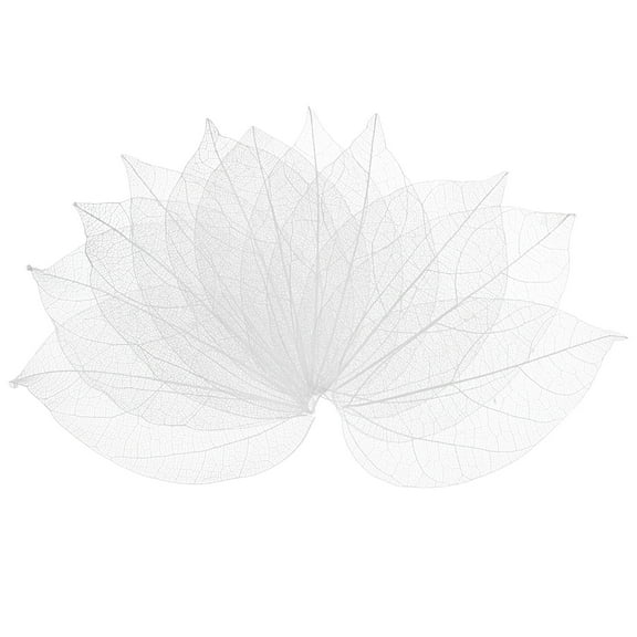 100-Pack Skeleton Leaves, Natural Rubber Tree Dried Pressed Leaves Vein [7-9cm, White]