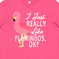 thumbnail image 4 of Inktastic I Just Really Like Flamingos Ok with Pink Flamingo Youth T-Shirt, 4 of 5