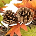 thumbnail image 3 of Northlight Maple Leaves with Pine Cones and Pumpkins Small Fall Harvest Artificial Wreath - 12", 3 of 5