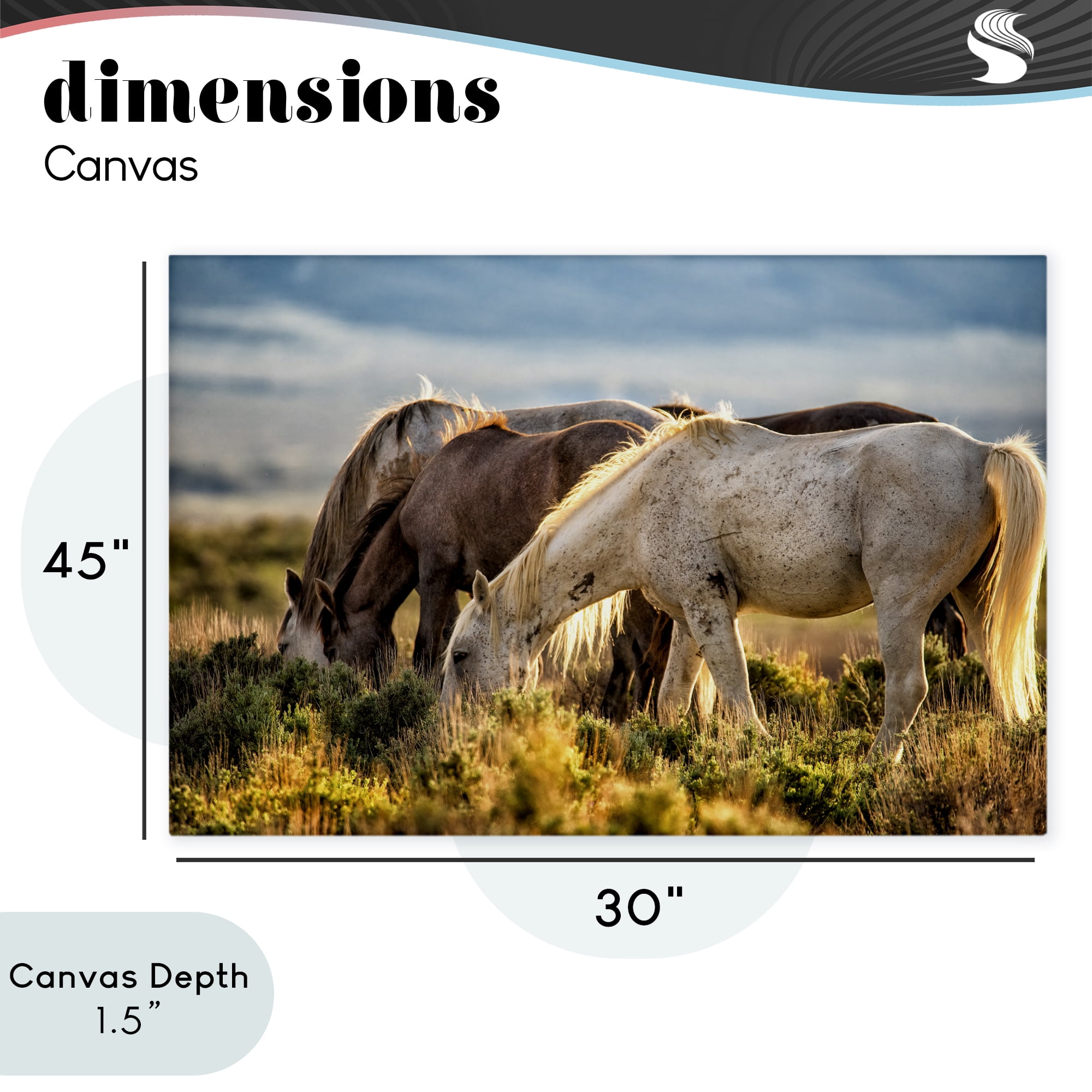 Stupell Industries Equine Evening Graze Canvas Wall Art, design by Tim West