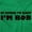 Irish Green, variant on Course Im Right Im Bob Men's Big & Tall Graphic Hoodie Brisco Brands 2X