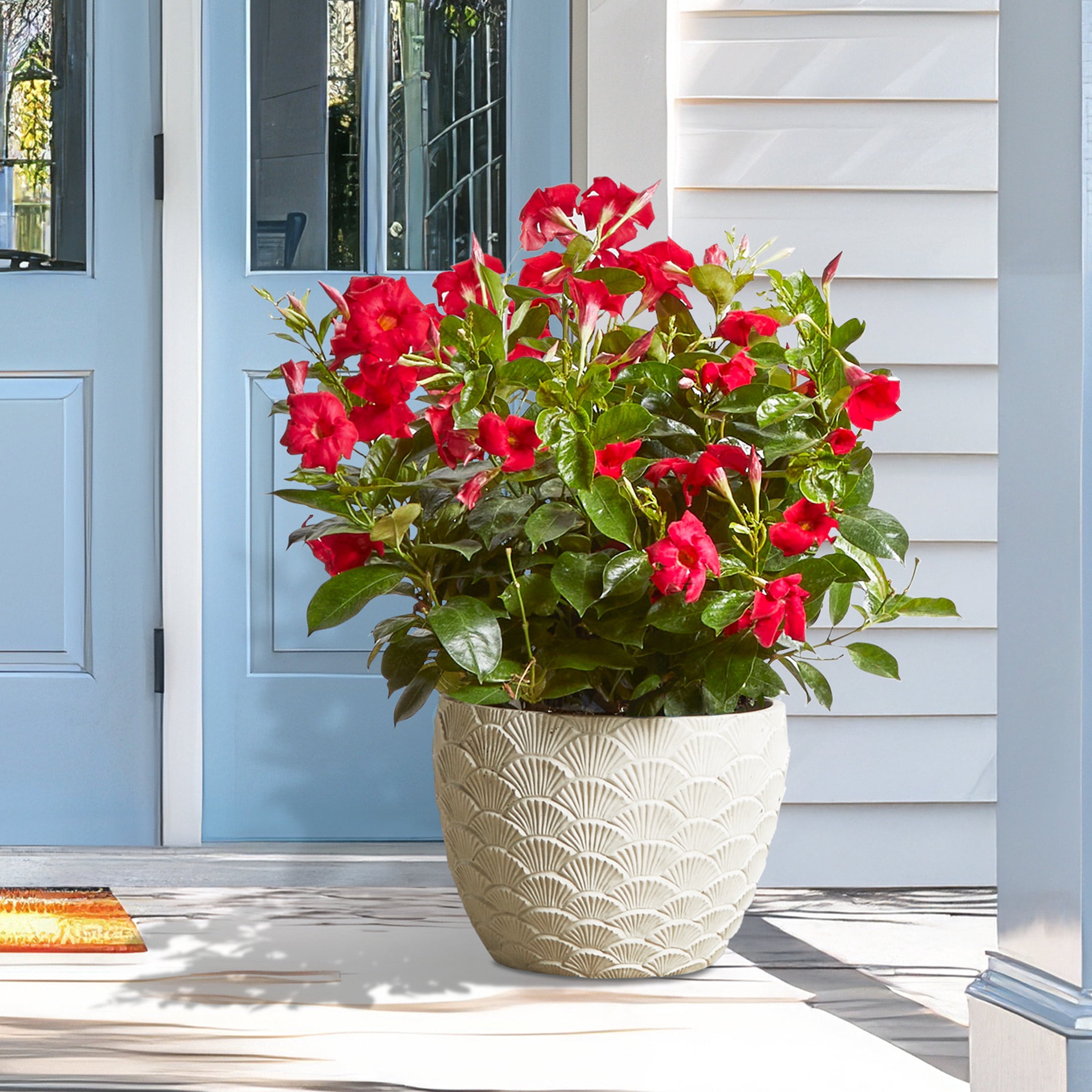 Mainstays Isla 12 in x 12 in x 9 in Round Vanilla Dream Plastic Planter