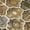 Brown, variant on Addison Rugs Chantille Indoor/Outdoor Transitional Lattice Aloe Machine Washable Rectangle Rug, 10' x 14'
