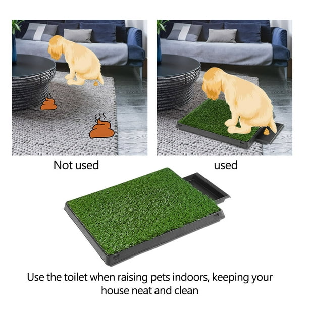 Sonnettes pour chien pour l'apprentissage de la propreté avec