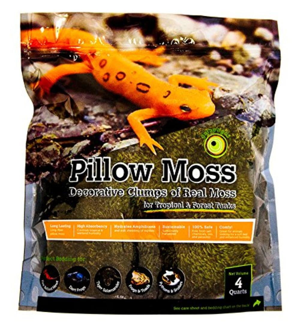 Galápagos (05234) Pillow Moss, Clumps of Real Moss, Natural, 4QT, Long