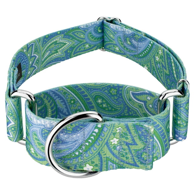 Country Brook Petz - HossFit Wide Martingale Dog Collar Featuring Unique Designs for Any Style (Green Paisley, Extra Large)