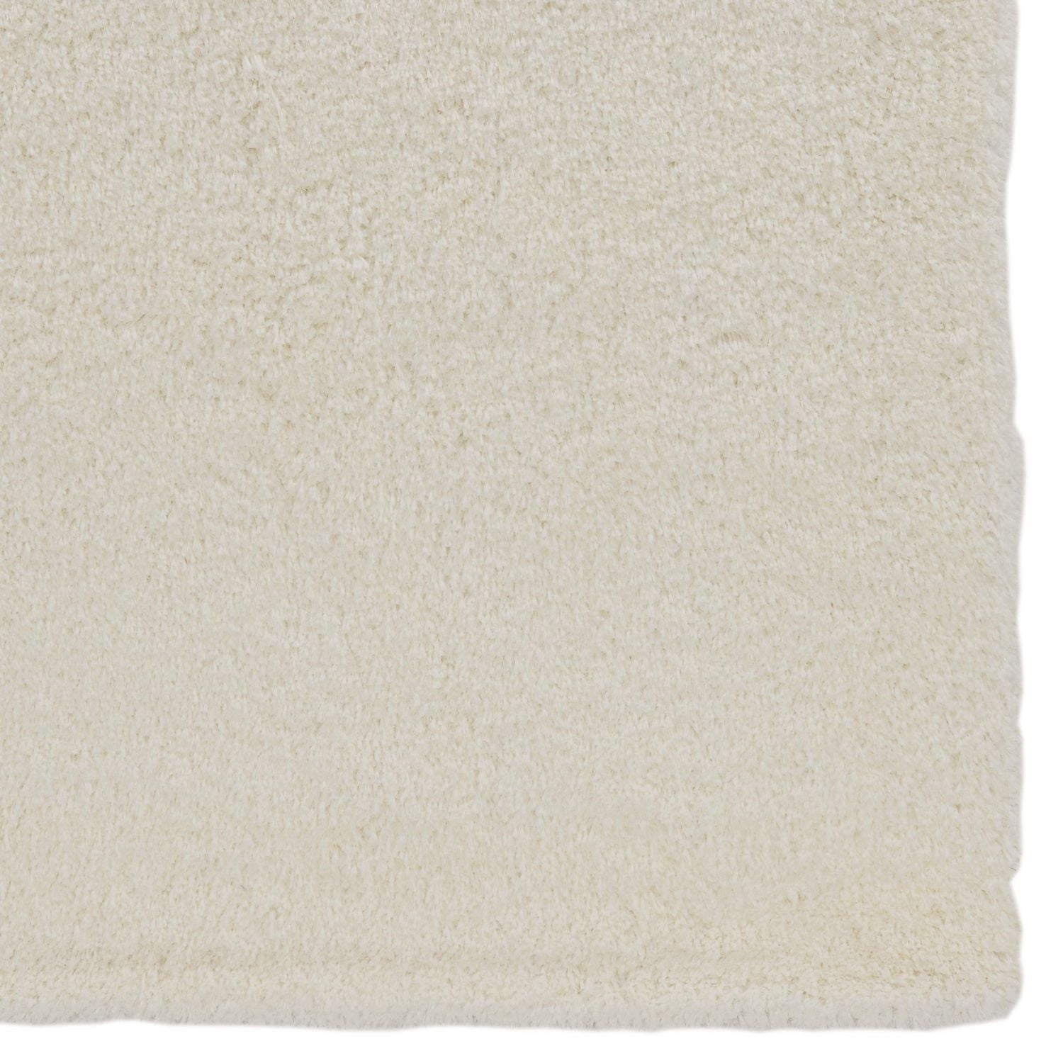 Pastel Shaggy 8 ft. x 10 ft. Area Rug