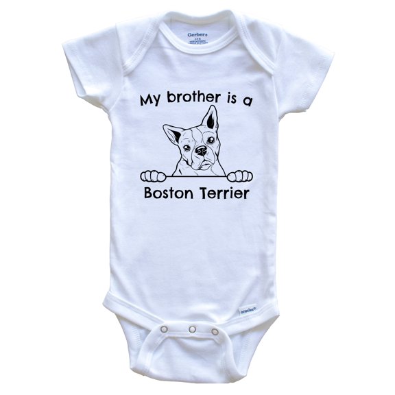 My Brother is a Boston Terrier Cute Dog Breed Baby Bodysuit, 0-3 months white
