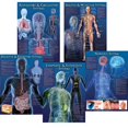 thumbnail image 1 of Carson Dellosa CD-410065BN Human Body Facts Bulletin Board Set - Set of 2, 1 of 1