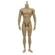 thumbnail image 2 of 1:6 Scale Action Figure Male Muscle Body Toys Version 2.0 For Ttm19 Banmo, 2 of 5