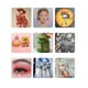 thumbnail image 4 of Minnieouse Tiza para teñir el cabello temporal para mujer, tinte para el cabello, suministro de rendimiento de Cosplay DIY para el salón profesional del Cuidado del cabello 6 colores Minnieouse CE014595-01, 4 of 6