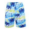 thumbnail image 2 of Pantalones Cortos Hombres Hawaianos Playa Ropa Accesorio Disfraz Tropical Ropa Cómoda Palmera Estilo 2 Salvador Shorts de playa hawaianos, 2 of 8