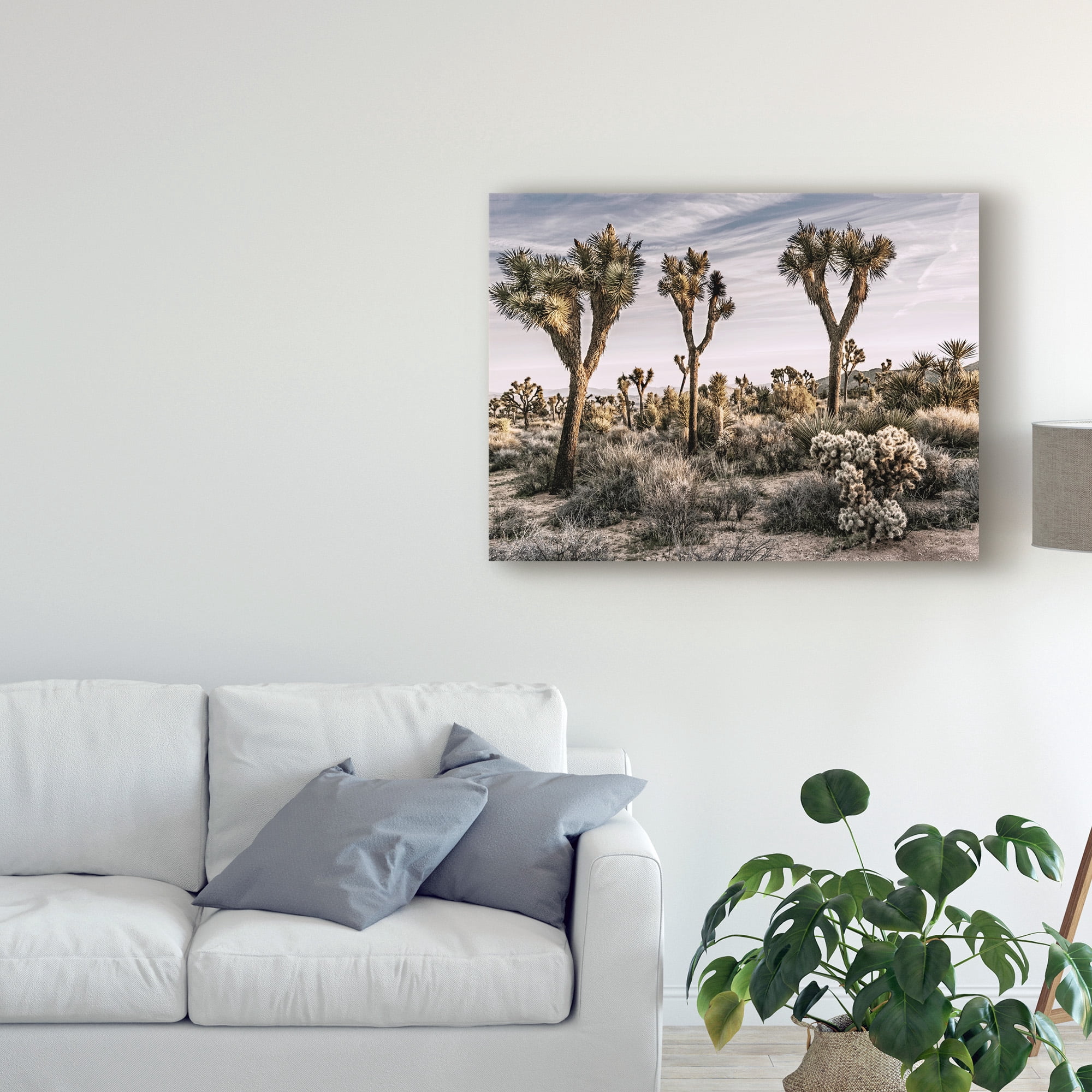 Trademark Fine Art 'Views of Joshua Tree IX' Canvas Art by Rachel Perry