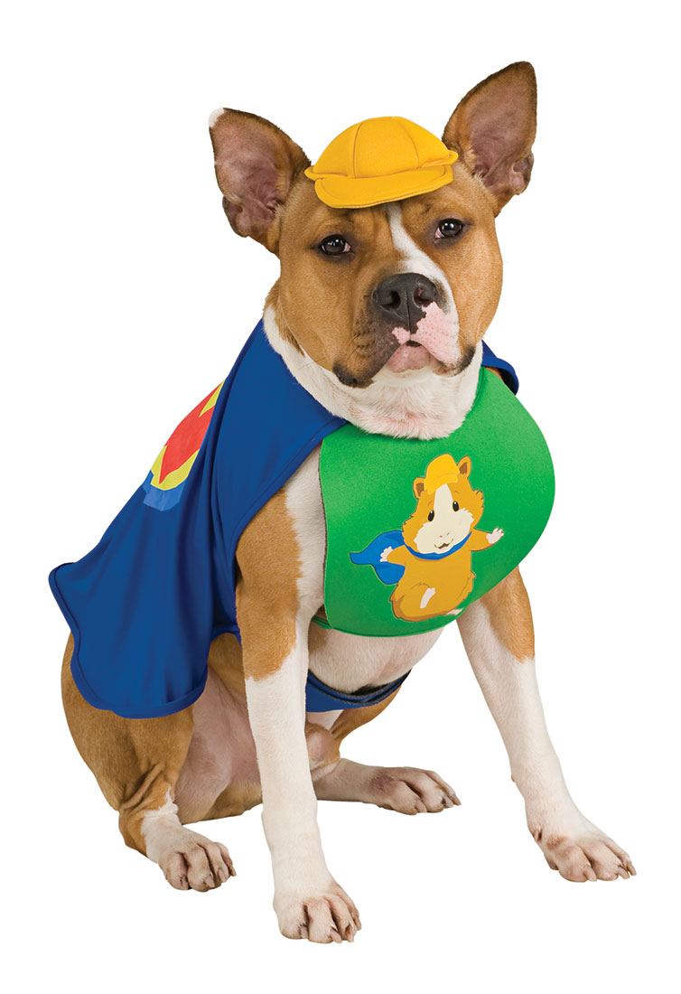 Linny the Guinea Pig Dog Costume