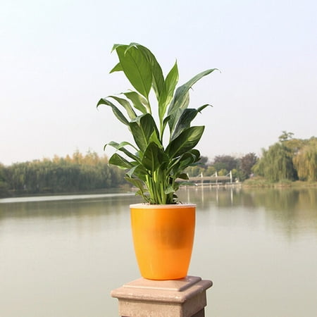 Lazy Flower Pot Automatic Water Absorption Plastic Pot Green Plant Water